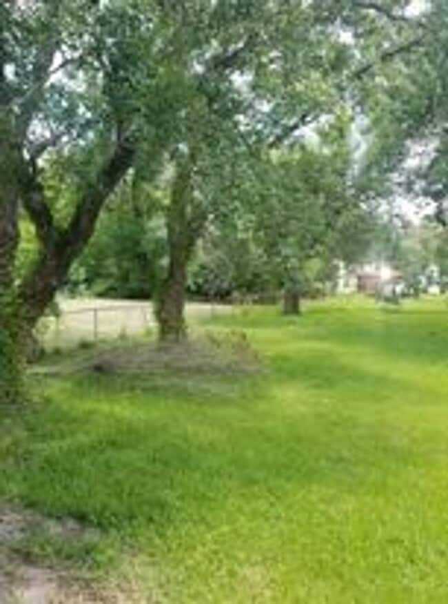 Building Photo - 3 Bed, 1 Bath House in Nederland!