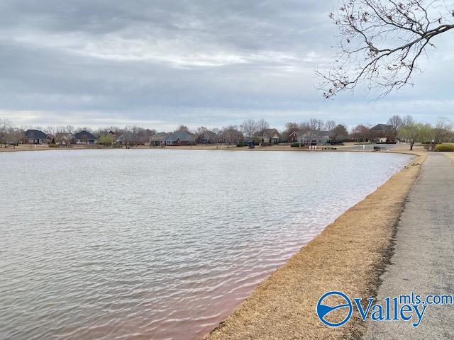 Building Photo - 275 Old Overton Dr