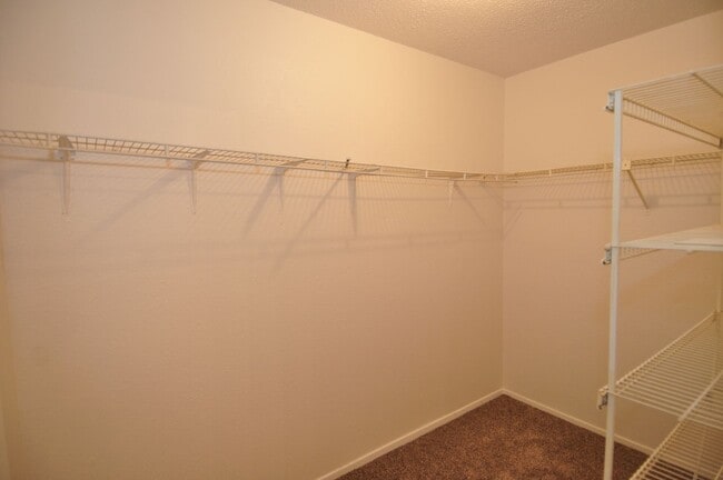 Building Photo - New Carpet! New Vinyl Flooring! New Paint!