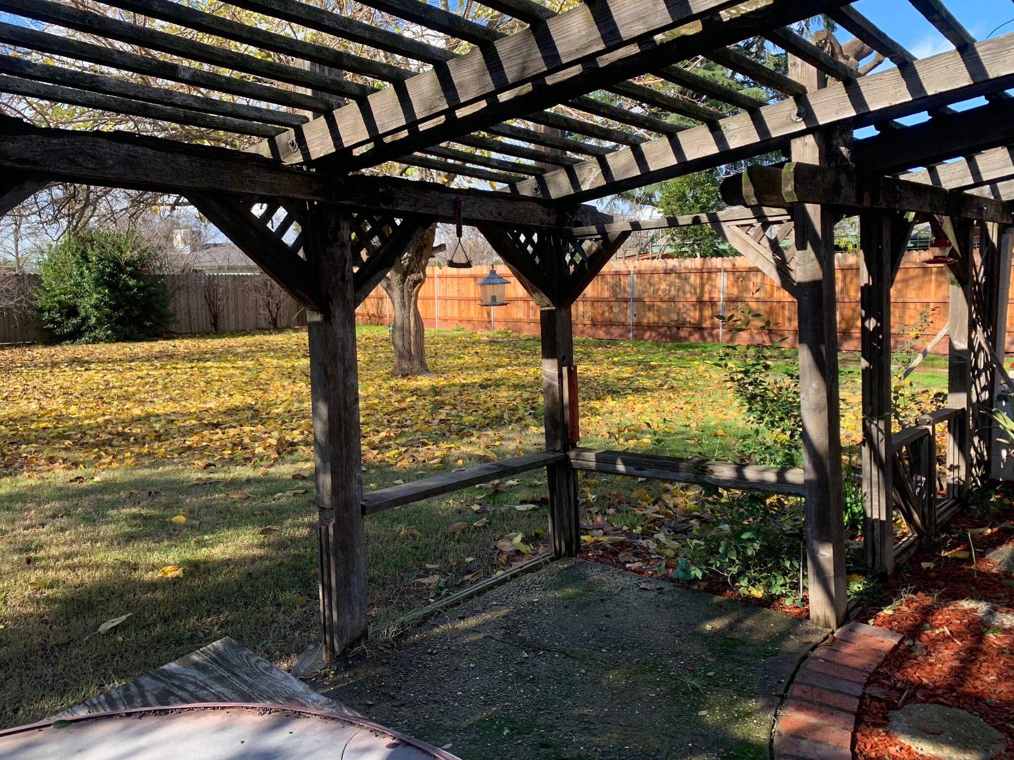 Backyard - 7110 Celia Ave