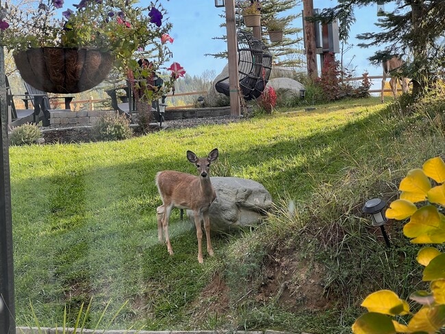 Building Photo - 301 Sandy Ridge Rd