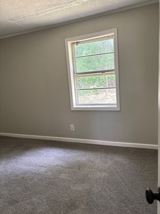 Building Photo - 211 Nance St