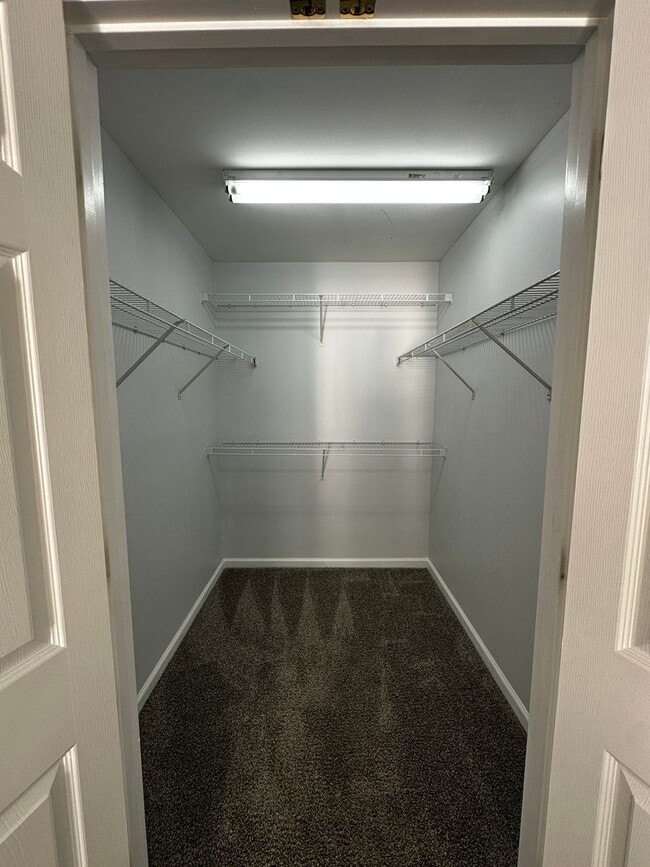Building Photo - 1643 Wood Song Ln