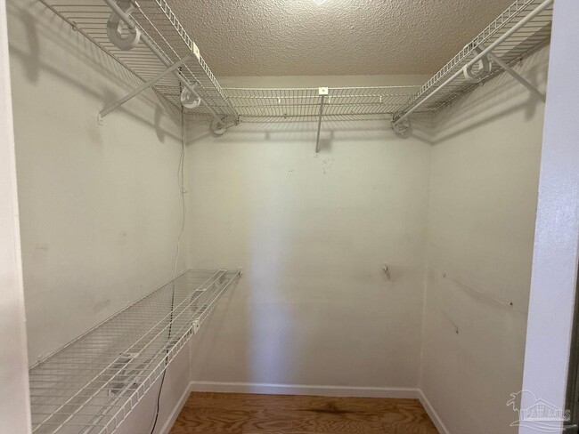 Building Photo - 2463 Cavalla Loop