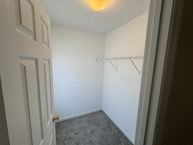 Building Photo - 125 Sophie Ln