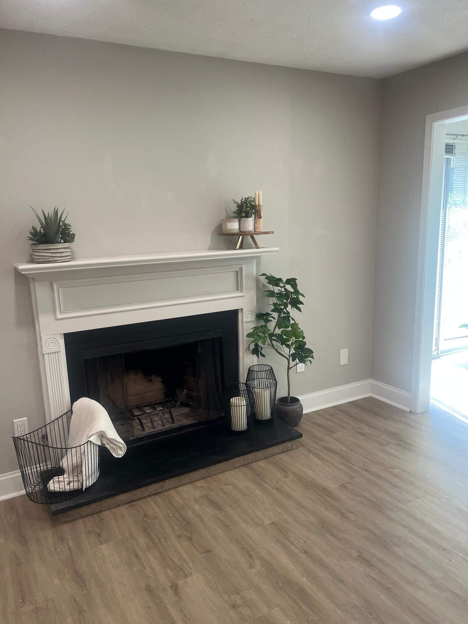 Gas Fireplace - 1405 Vicksburg Plz