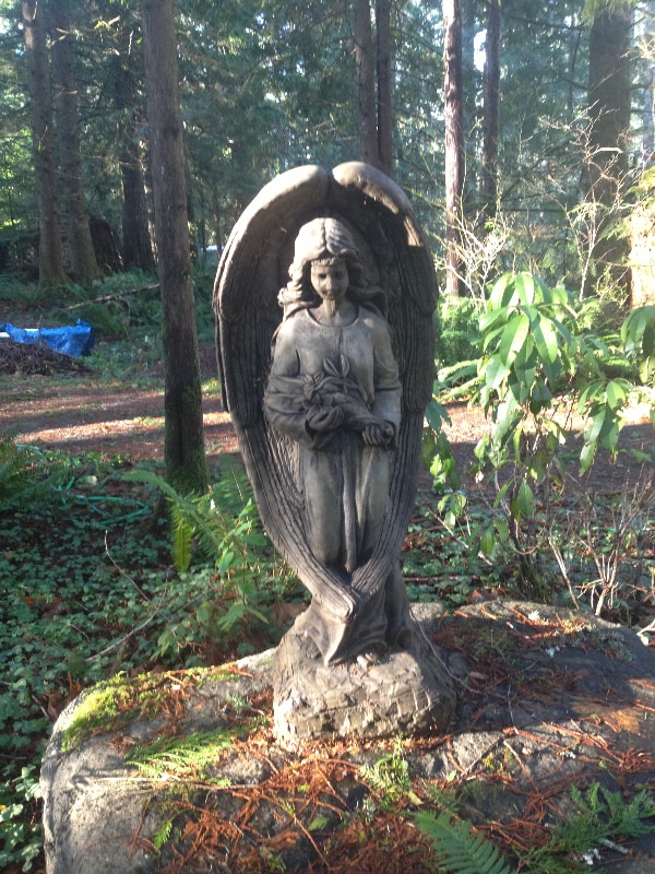 Building Photo - 51603 Skyco Dr