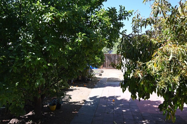 Building Photo - Nice Willow Glen Bungalow, Pet Friendly, 2...