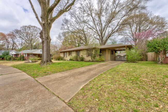 Building Photo - Colonial Acres