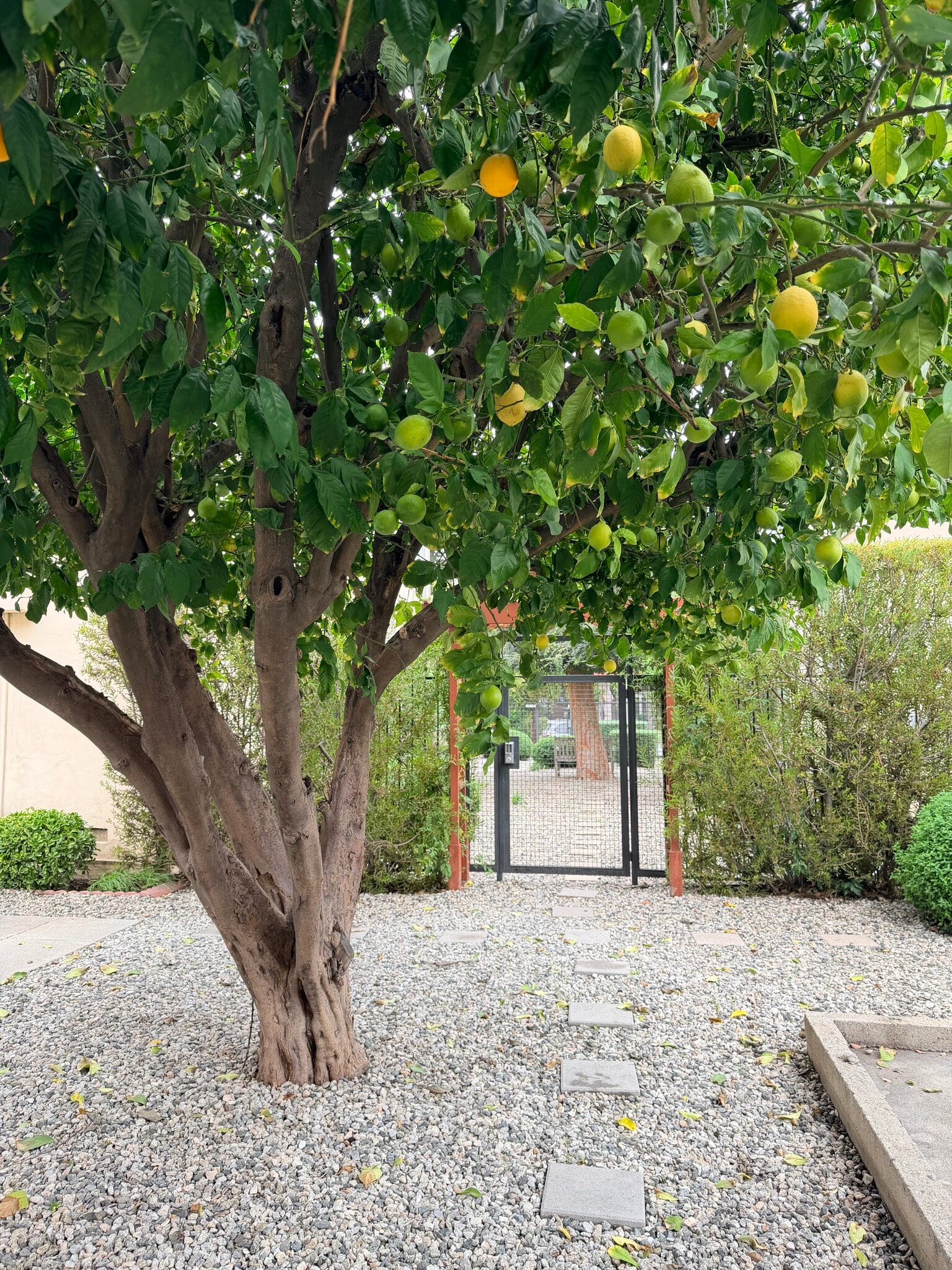 Building Photo - 4319 Cahuenga Blvd