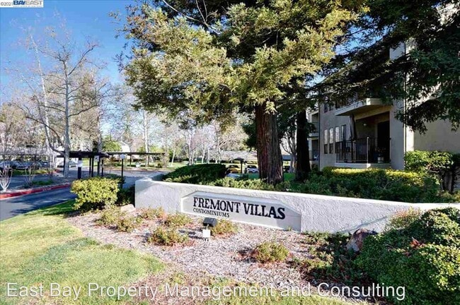 Building Photo - 2 br, 2 bath House - 39400 Albany Common #B