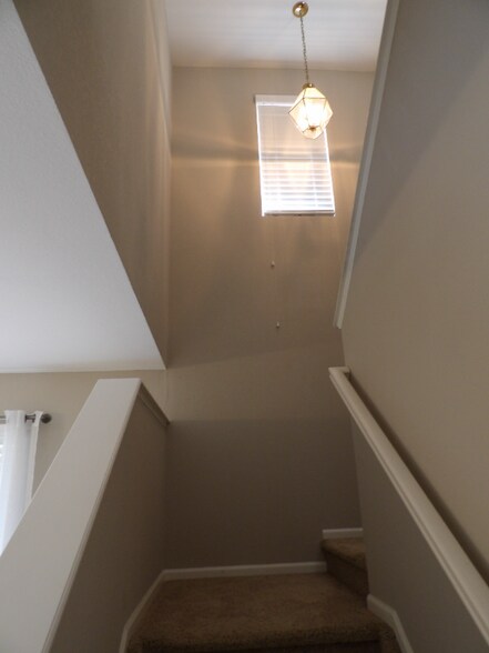 Building Photo - 11497 White Lotus Ln