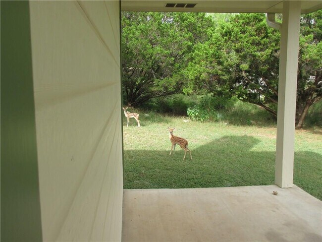 Building Photo - 2405 Farragret Cove