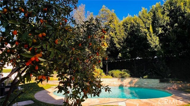 Building Photo - 719 Carriage House Dr