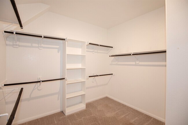 Building Photo - 2506 Indigo Harvest Trl