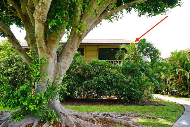 Primary Photo - Rare Haleakala Gardens Top Floor Corner Un...