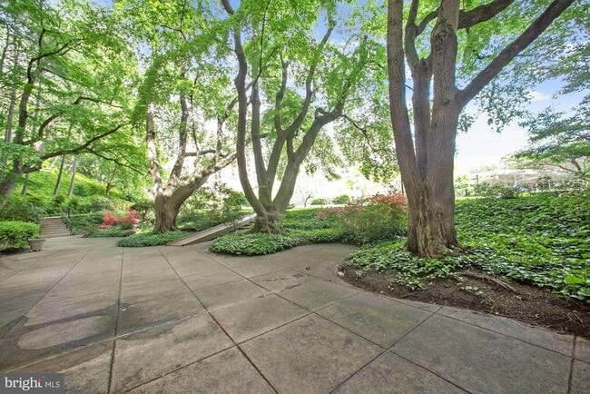 Building Photo - 4201 Cathedral Ave NW