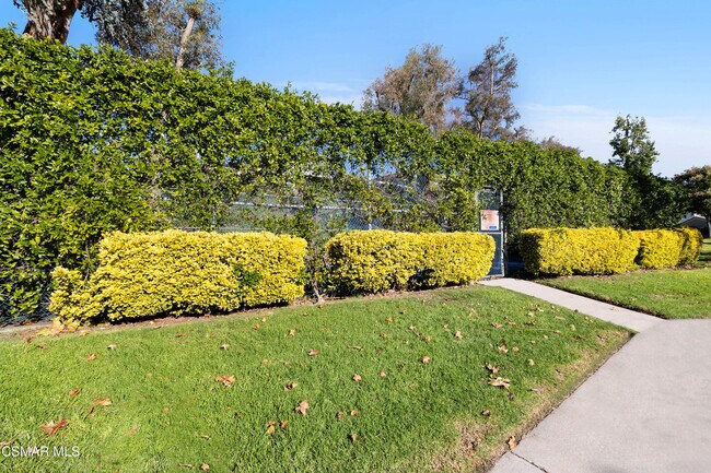 Building Photo - 32136 Beachfront Ln