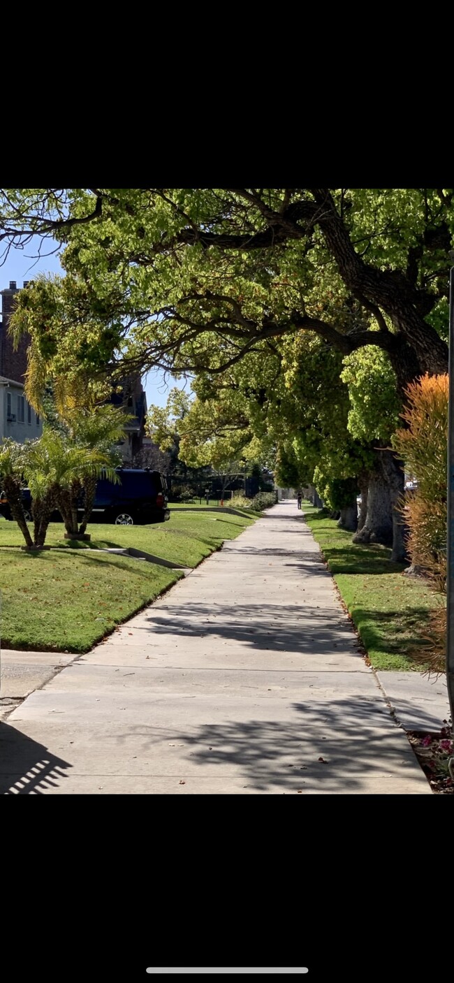 Tree lined sidewalks for walking pets - 3616 W Adams Blvd