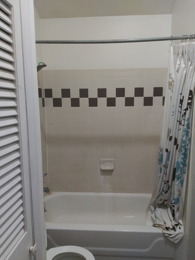 Tiled bath - 27 Edison Rd