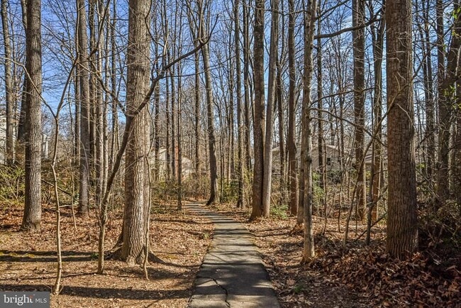 Building Photo - 9929 Hemlock Woods Ln