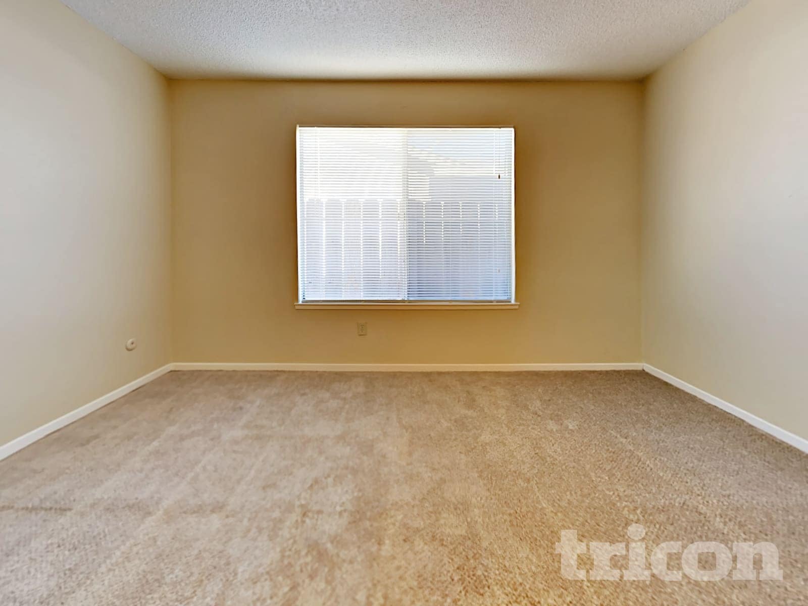 Building Photo - 215 Loy St.