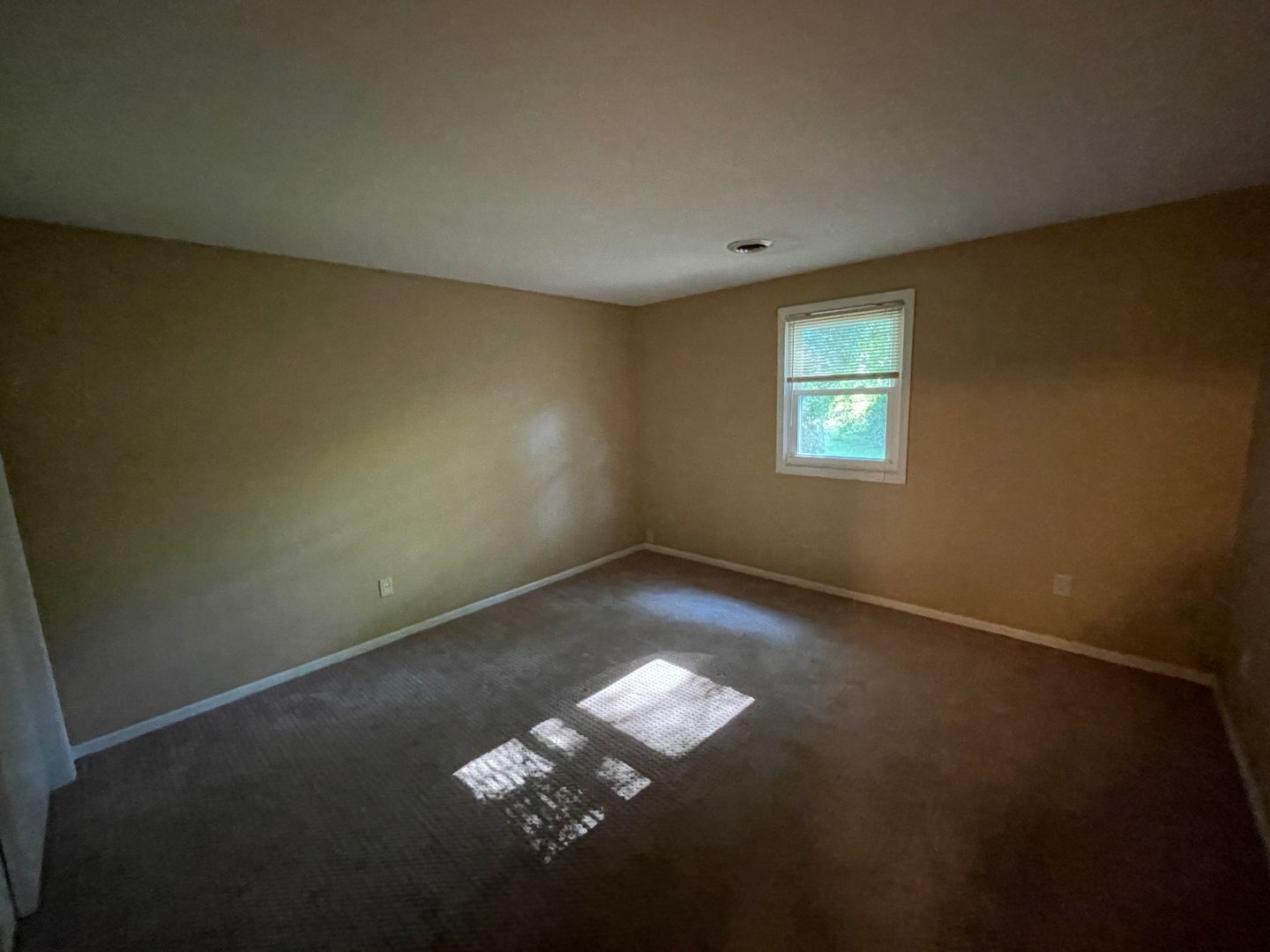 Building Photo - 5633 Bluebird Ct