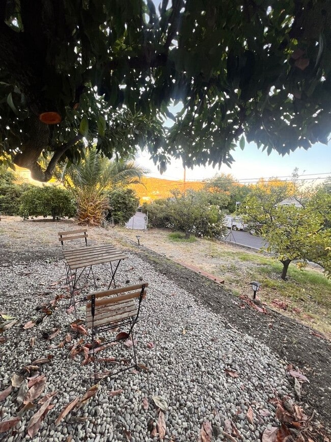 Building Photo - Peaceful 1 Bedroom Garden-Level Apartment ...