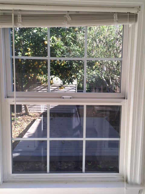 View to outdoor deck and lemon tree - 2567 Land Park Dr