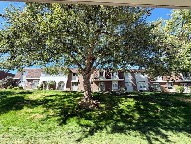Building Photo - 529 S Xenon Ct