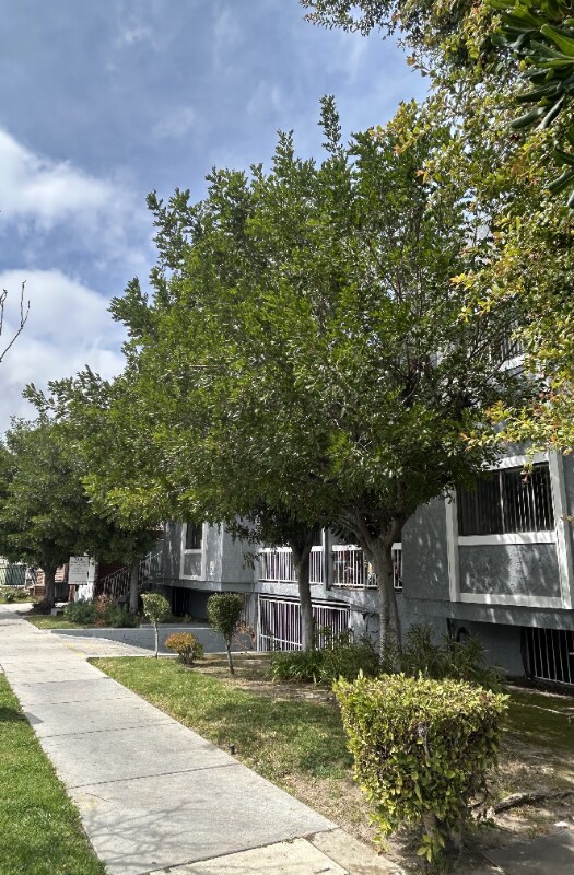 Building Photo - 309 E Elk Ave