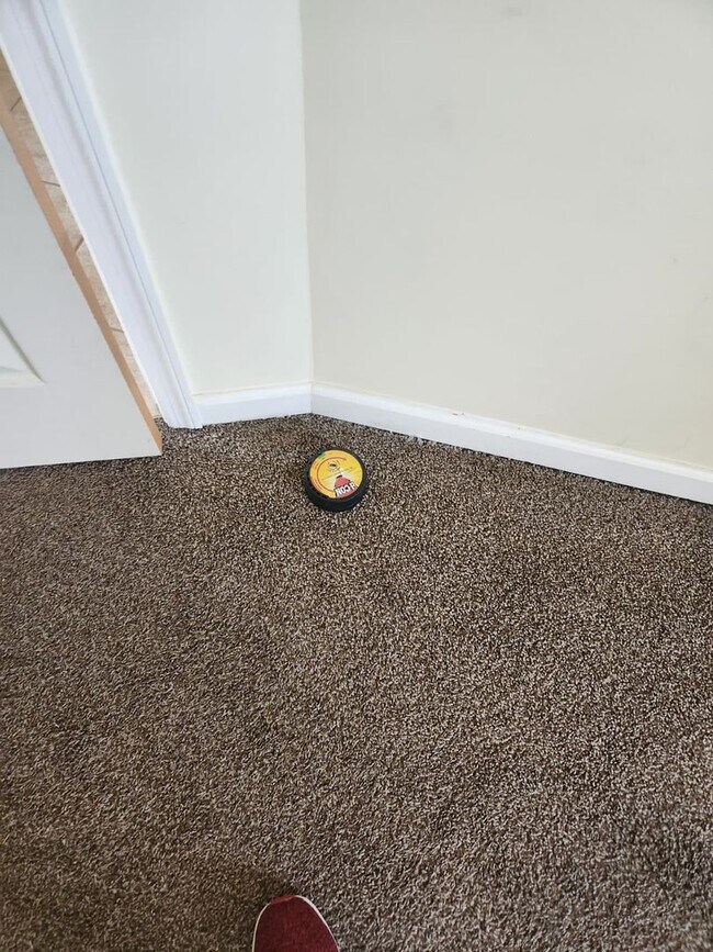 Building Photo - 413-415-415 N 6th Ave