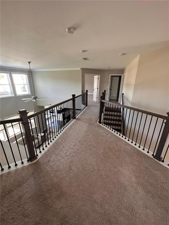 Building Photo - 6215 Haystack Ct
