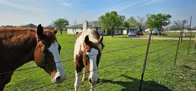 Building Photo - 16 Brenda Ln