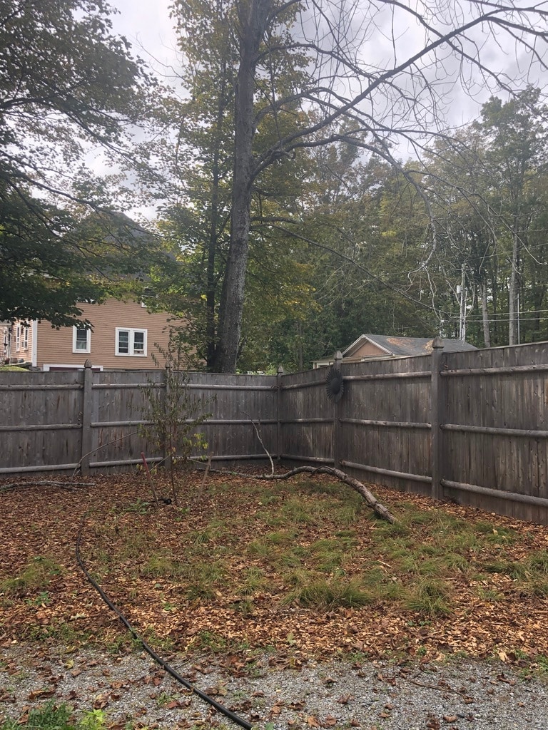 back yard - 46 Wilmot Center Rd