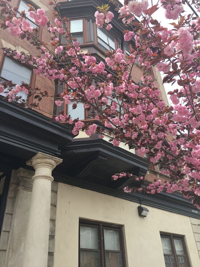 Building Photo - Spacious 2 Bed / 1 Bath Available July 10 | $1,625 | Pet Friendly + Free Storage