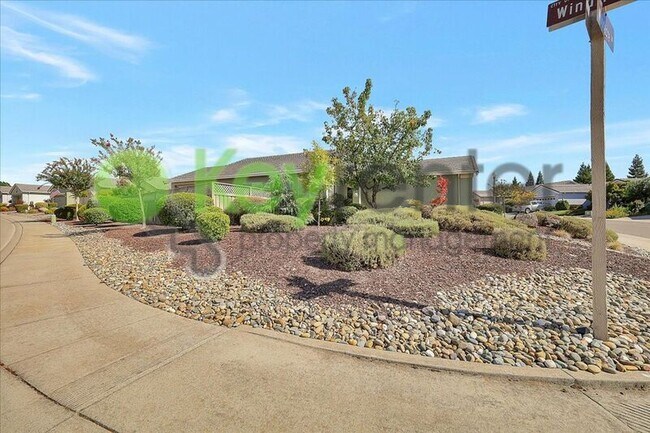 Building Photo - 2532 Woodacre Ln