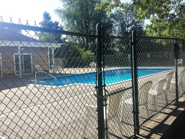 Swimming Pool _ Close up - 88 Beacon St, Unit 9