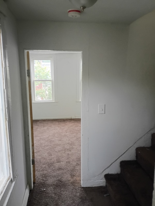 Building Photo - 2554 Hollins St
