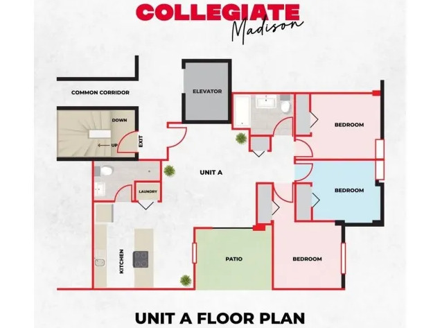 3BR/2BA Floor Plan - Collegiate Campus Apartments