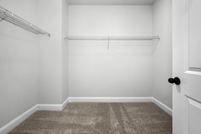 Building Photo - 2718 Willowoak Trl