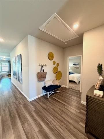 Building Photo - 4212 Waco Dr