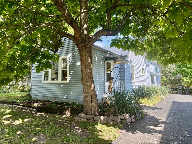Primary Photo - 337 N Elmwood Ave