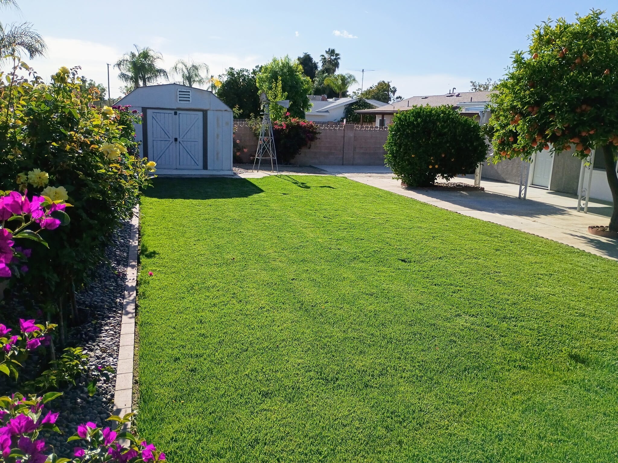 Building Photo - 41315 Sequoia Ln