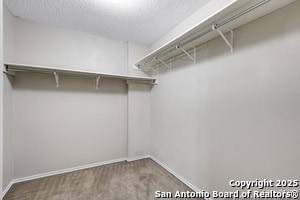 Building Photo - 2018 Indian Meadows Dr