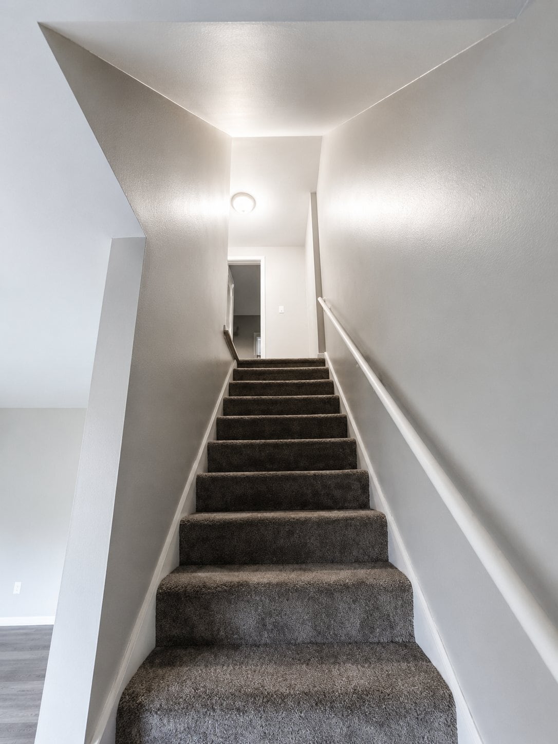 Building Photo - 6210 Ambleside Dr