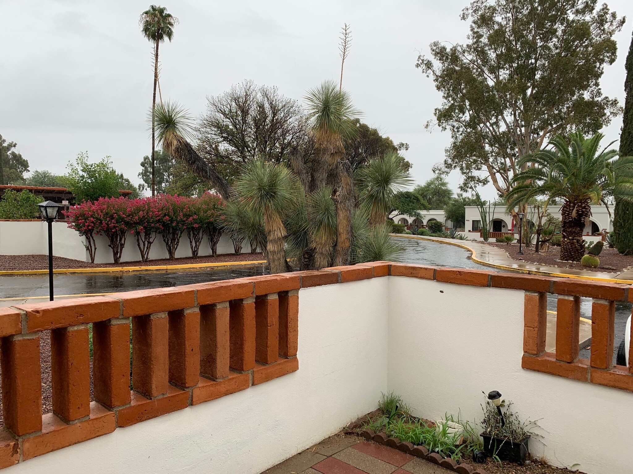 Building Photo - 436 S Paseo Cerro