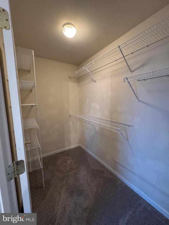 Building Photo - 431 W Baltimore St