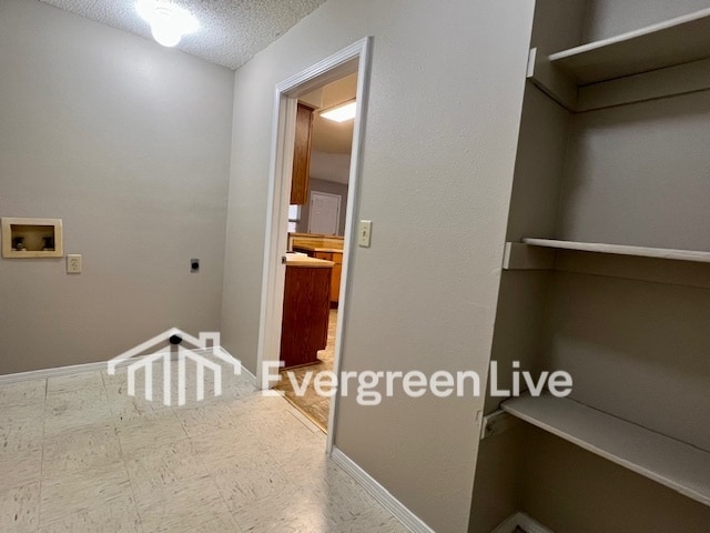 Building Photo - 101 Morning Bloom Ct