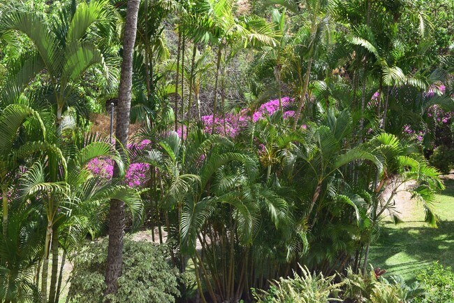 Building Photo - MAUI BANYAN - 1bd. 1bath fully furnished u...